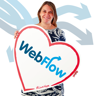 Webflow Online Authorisation Solution