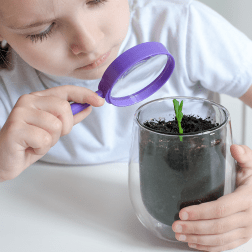 Primary Science-min.png