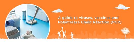 A guide to viruses, vaccines and Polymerase Chain Reaction (PCR)